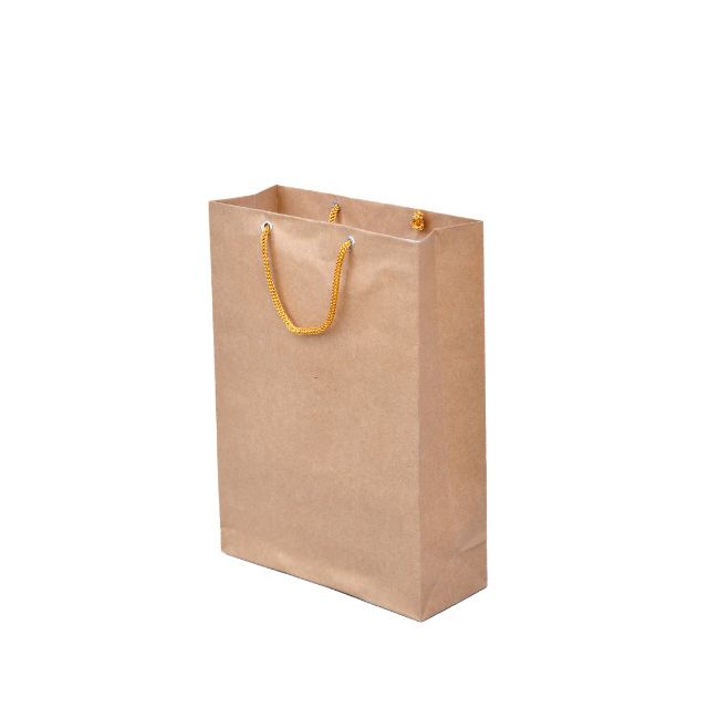 Shopping Bag 8L X 12 W Inch
