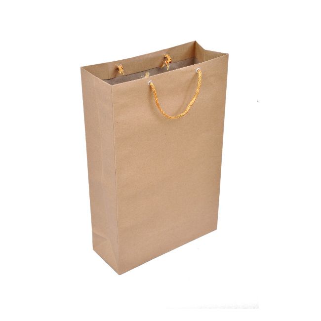 Shopping Bag 10L X 14 W Inch