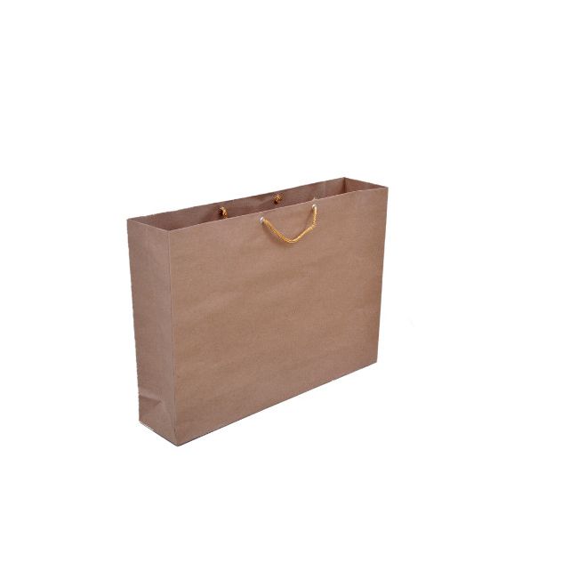 Shopping Bag 18L X 10 W Inch