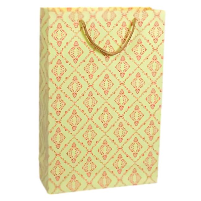 Shopping Bag (Pre Printed) 10W X 16H Inch
